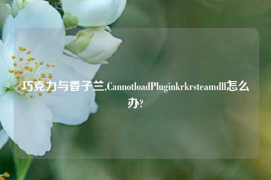 巧克力与香子兰,CannotloadPluginkrkrsteamdll怎么办?