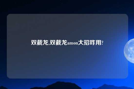 双截龙,双截龙amon大招咋用?