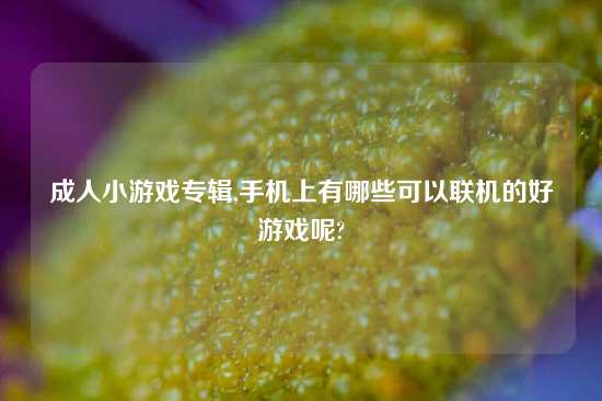 成人小游戏专辑,手机上有哪些可以联机的好游戏呢?