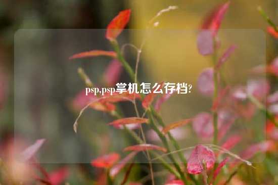 psp,psp掌机怎么存档?