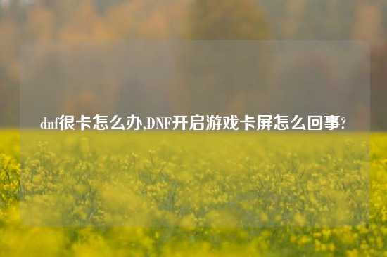 dnf很卡怎么办,DNF开启游戏卡屏怎么回事?