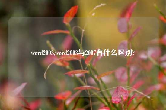 word2003,word2003与2007有什么区别?