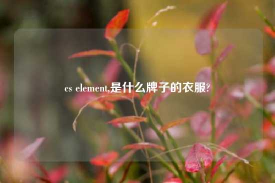 cs element,是什么牌子的衣服?