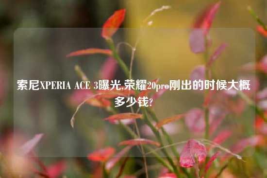 索尼XPERIA ACE 3曝光,荣耀20pro刚出的时候大概多少钱?