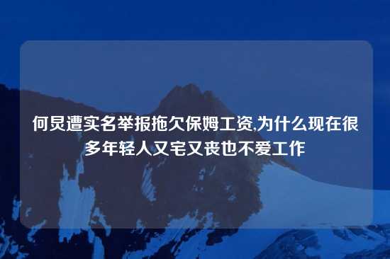 何炅遭实名举报拖欠保姆工资,为什么现在很多年轻人又宅又丧也不爱工作