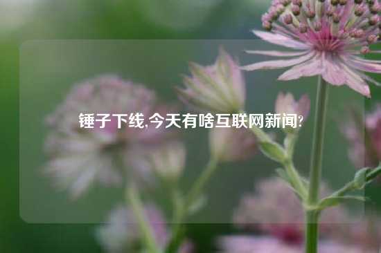 锤子下线,今天有啥互联网新闻?