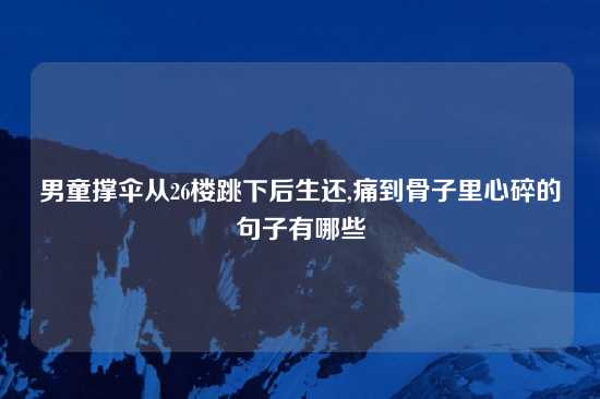 男童撑伞从26楼跳下后生还,痛到骨子里心碎的句子有哪些