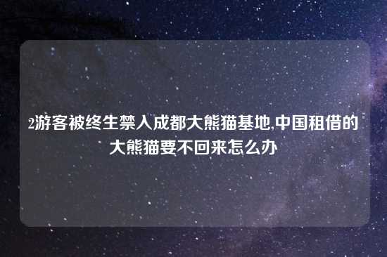 2游客被终生禁入成都大熊猫基地,中国租借的大熊猫要不回来怎么办