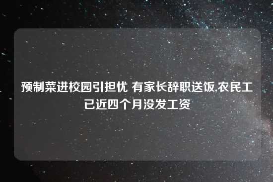 预制菜进校园引担忧 有家长辞职送饭,农民工已近四个月没发工资