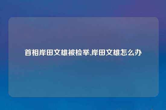 首相岸田文雄被检举,岸田文雄怎么办