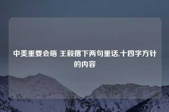 中美重要会晤 王毅撂下两句重话,十四字方针的内容