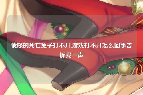 愤怒的死亡兔子打不开,游戏打不开怎么回事告诉我一声