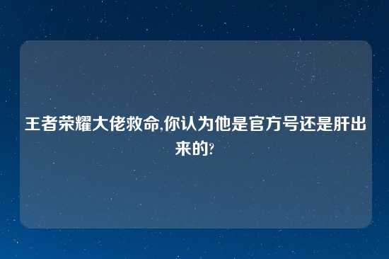 王者荣耀大佬救命,你认为他是官方号还是肝出来的?