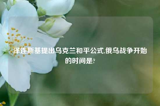 泽连斯基提出乌克兰和平公式,俄乌战争开始的时间是?