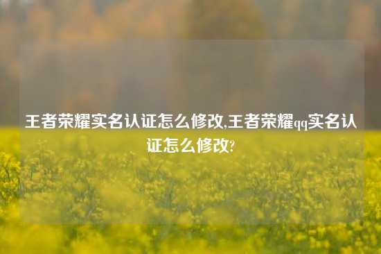 王者荣耀实名认证怎么修改,王者荣耀qq实名认证怎么修改?