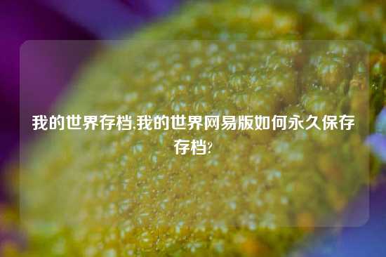 我的世界存档,我的世界网易版如何永久保存存档?