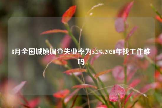 8月全国城镇调查失业率为5.2%,2020年找工作难吗