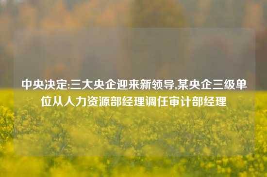 中央决定:三大央企迎来新领导,某央企三级单位从人力资源部经理调任审计部经理