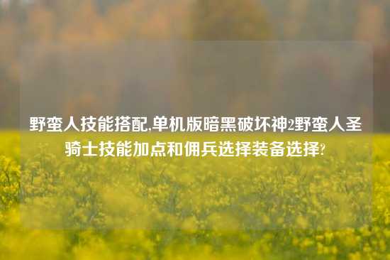 野蛮人技能搭配,单机版暗黑破坏神2野蛮人圣骑士技能加点和佣兵选择装备选择?