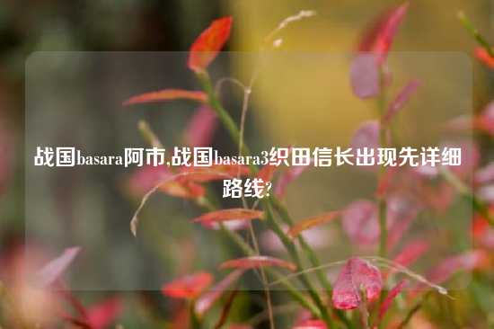 战国basara阿市,战国basara3织田信长出现先详细路线?