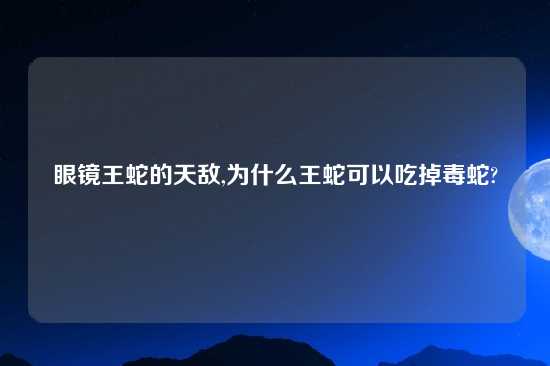 眼镜王蛇的天敌,为什么王蛇可以吃掉毒蛇?