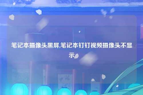 笔记本摄像头黑屏,笔记本钉钉视频摄像头不显示