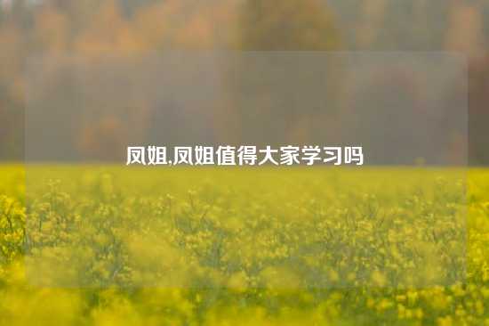 凤姐,凤姐值得大家学习吗