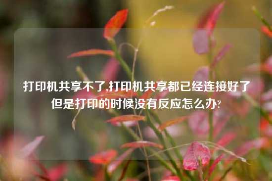打印机共享不了,打印机共享都已经连接好了但是打印的时候没有反应怎么办?