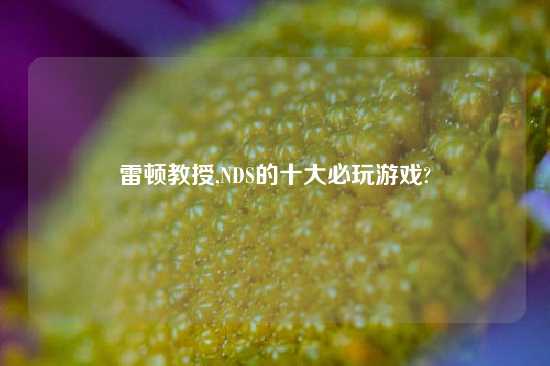 雷顿教授,NDS的十大必玩游戏?