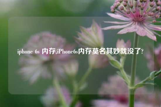 iphone 6s 内存,iPhone6s内存莫名其妙就没了?