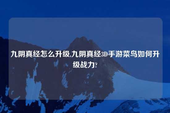 九阴真经怎么升级,九阴真经3D手游菜鸟如何升级战力?