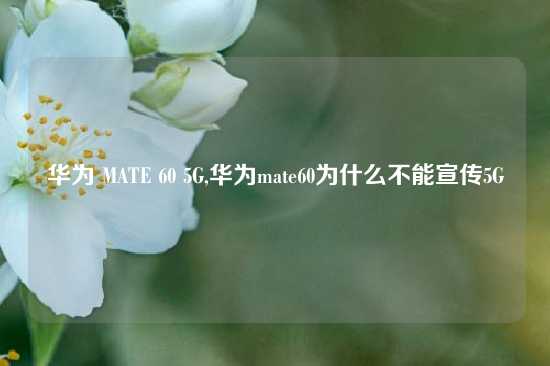 华为 MATE 60 5G,华为mate60为什么不能宣传5G