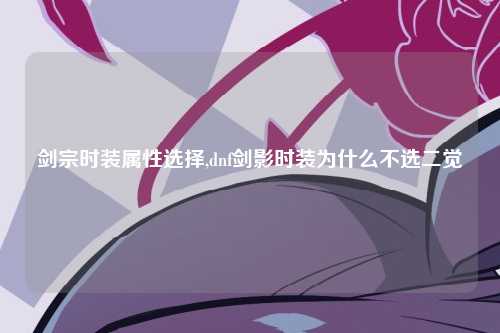 剑宗时装属性选择,dnf剑影时装为什么不选二觉