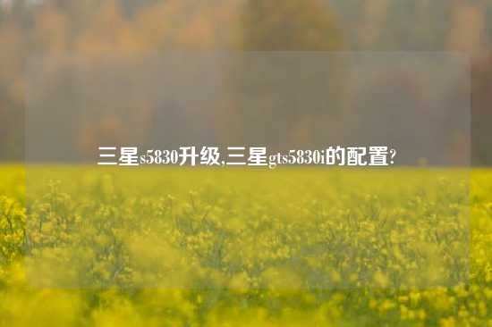 三星s5830升级,三星gts5830i的配置?