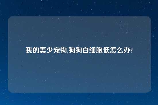 我的美少宠物,狗狗白细胞低怎么办?