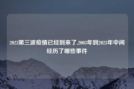 2023第三波疫情已经到来了,2003年到2023年中间经历了哪些事件