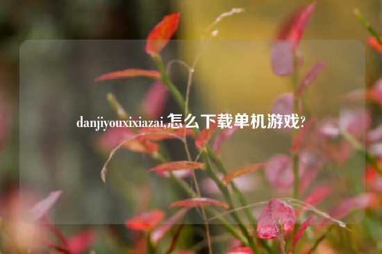 danjiyouxixiazai,怎么下载单机游戏?