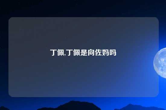丁佩,丁佩是向佐妈吗