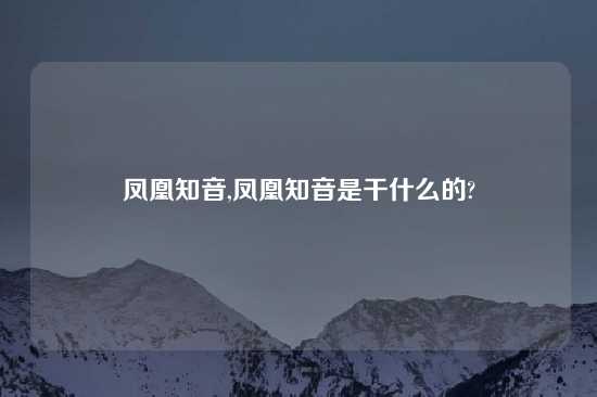 凤凰知音,凤凰知音是干什么的?