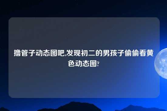 撸管子动态图吧,发现初二的男孩子偷偷看黄色动态图?