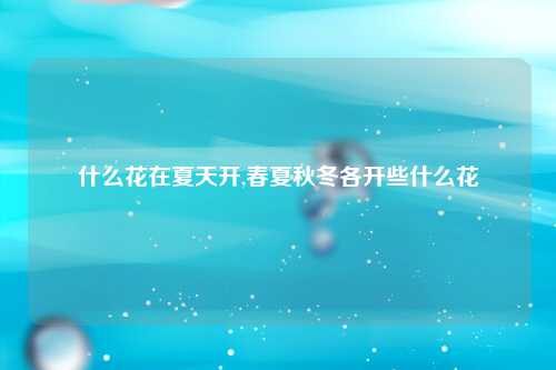 什么花在夏天开,春夏秋冬各开些什么花