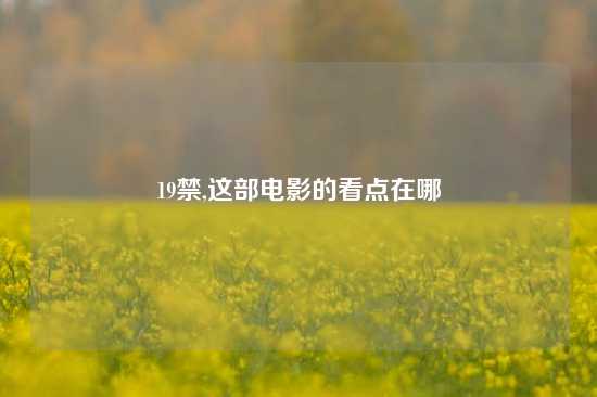 19禁,这部电影的看点在哪