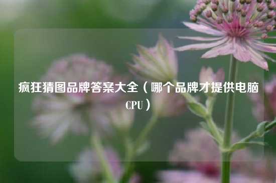 疯狂猜图品牌答案大全（哪个品牌才提供电脑CPU）