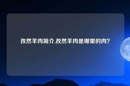 孜然羊肉简介,孜然羊肉是哪里的肉？