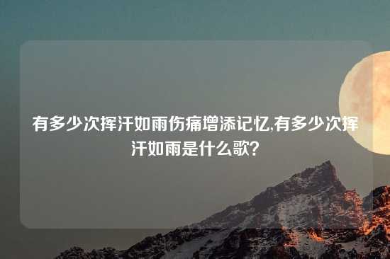 有多少次挥汗如雨伤痛增添记忆,有多少次挥汗如雨是什么歌？