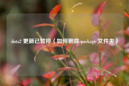 dota2 更新已暂停（如何删除 package 文件夹）