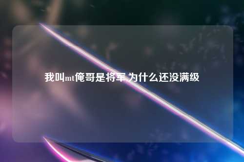 我叫mt俺哥是将军,为什么还没满级