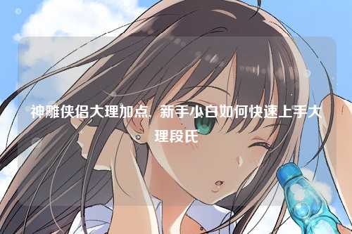 神雕侠侣大理加点,  新手小白如何快速上手大理段氏