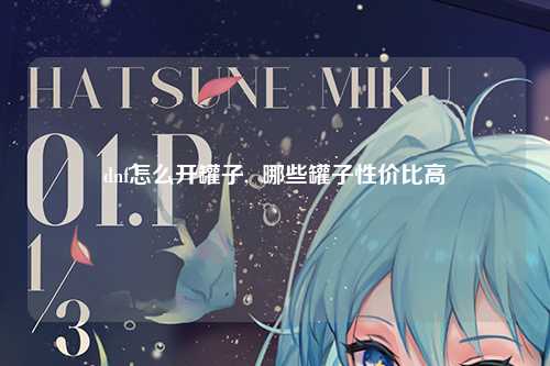 dnf怎么开罐子,  哪些罐子性价比高