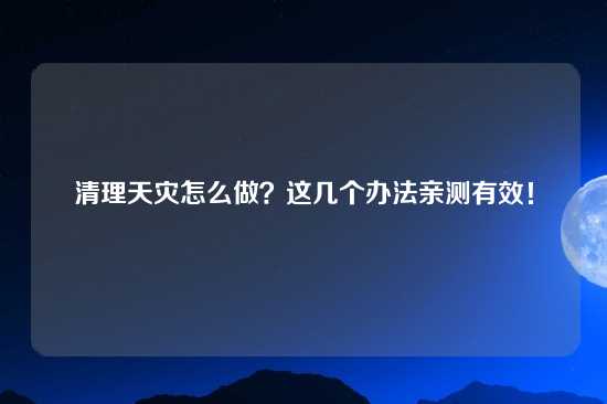 清理天灾怎么做？这几个办法亲测有效！